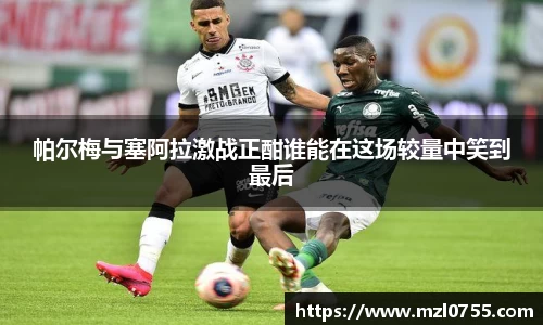 帕尔梅与塞阿拉激战正酣谁能在这场较量中笑到最后